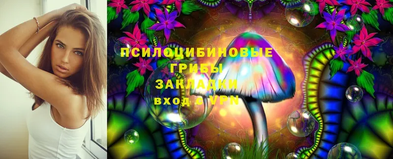 Псилоцибиновые грибы Cubensis  Донецк 